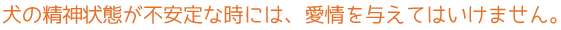 犬の精神状態が不安定な時には、愛情を与えてはいけません。